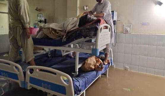 سندھ حکومت پر تنقید کرنے والی پی ٹی آئی کی حکومت کا پول کھل گیا، ایوب میڈیکل ہسپتال پانی سے بھر گیا