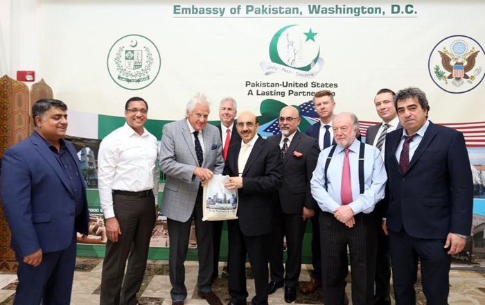 معروف امریکی کمپنی پاکستان میں پائے جانے والے پنک ہمالین سالٹ میں دو سو ملین ڈالر کی سرمایہ کاری کرے گی