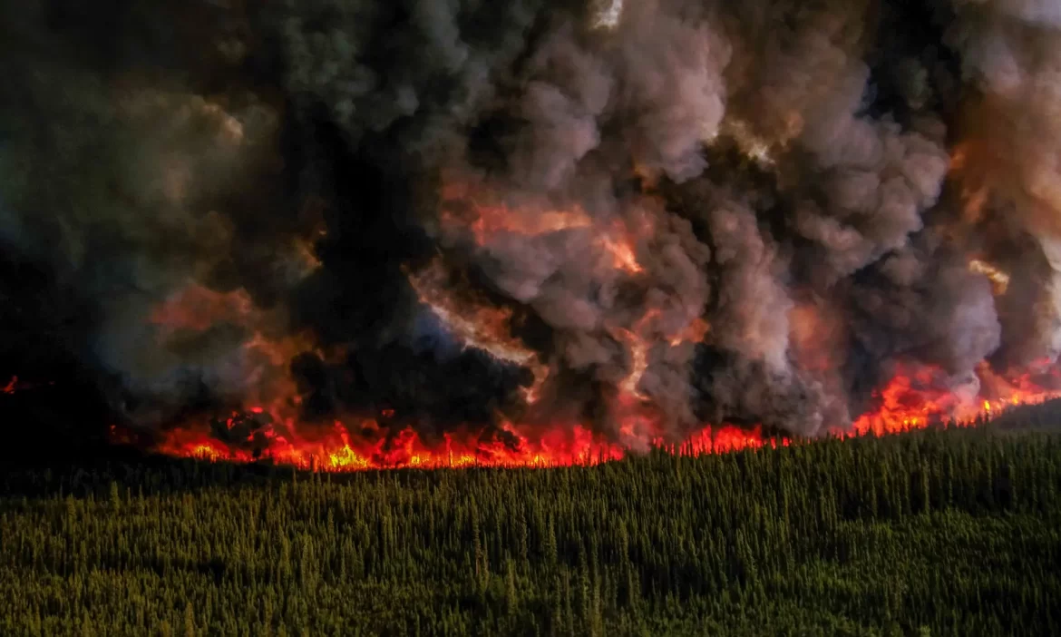 کینیڈا کے جنگلات میں لگی آگ بے قابو ہوگئی