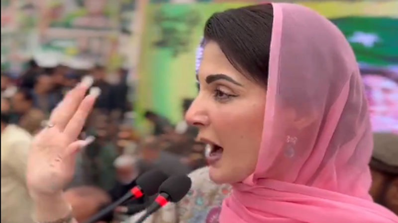 نوازشریف نے منصوبہ بنا لیا کہ بجلی 30فیصد کیسے سستی کرنی ہے۔ مریم نواز