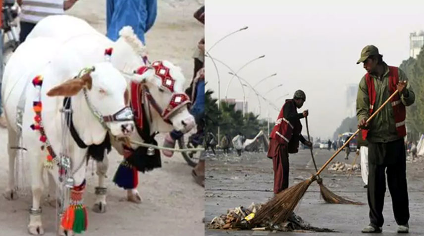 عوام سے قربانی کے جانوروں کی باقیات مخصوص جگہ پر ٹھکانے لگانے کی درخواست