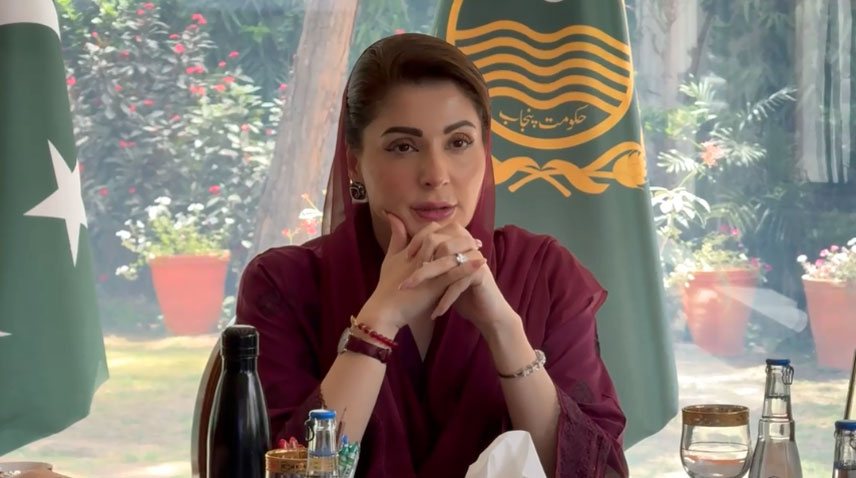 وزیر اعلیٰ پنجاب کی ہر ضلع میں گرلز اور بوائز نواز شریف سکول بنانے کی ہدایت