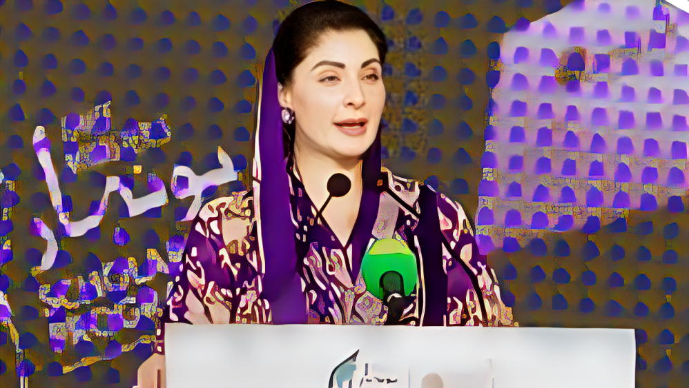  ملک کا مستقبل مضبوط اور محفوظ ہاتھوں میں ہے،وزیر اعلیٰ پنجاب