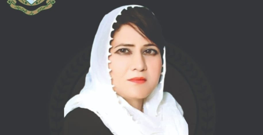 کراچی بار ایسوسی ایشن انتخابات، حسینہ تبسم شیخ جوائنٹ سیکرٹری کی عہدے کیلئے انتخاب لڑیں گی