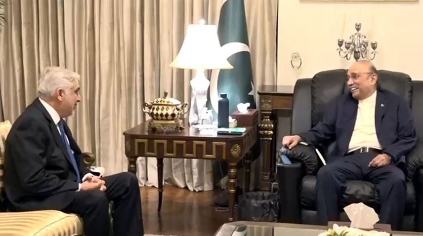صدر زرداری کا پاکستان اور جمہوریہ چیک میں تجارت و سرمایہ کاری بڑھانے پر زور