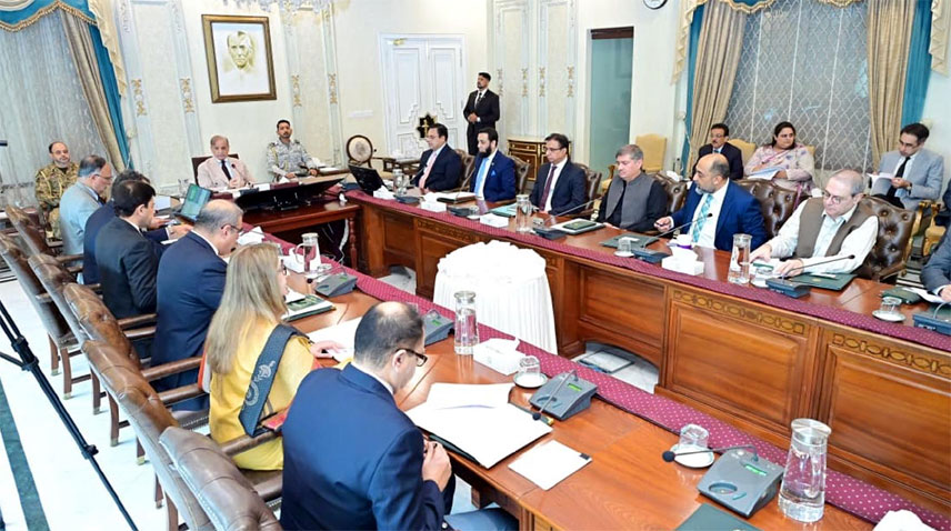 شہباز شریف کی جی بی میں 100 میگاواٹ کا سولر پراجیکٹ ایک سال کے اندر مکمل کرنے کی ہدایت