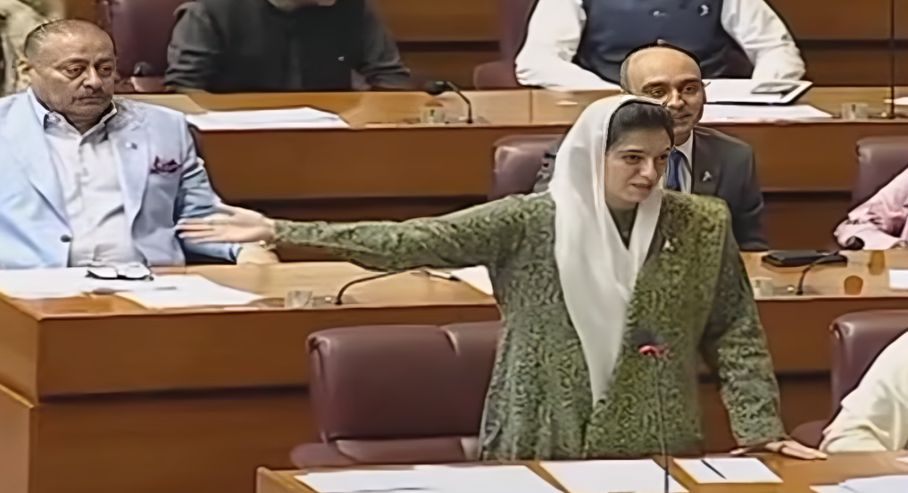 یوٹیلٹی اسٹورز کارپوریشن کی بندش پر تحفظات ہیں، حکومت فیصلے پر نظرثانی کرے، آصف بھٹو