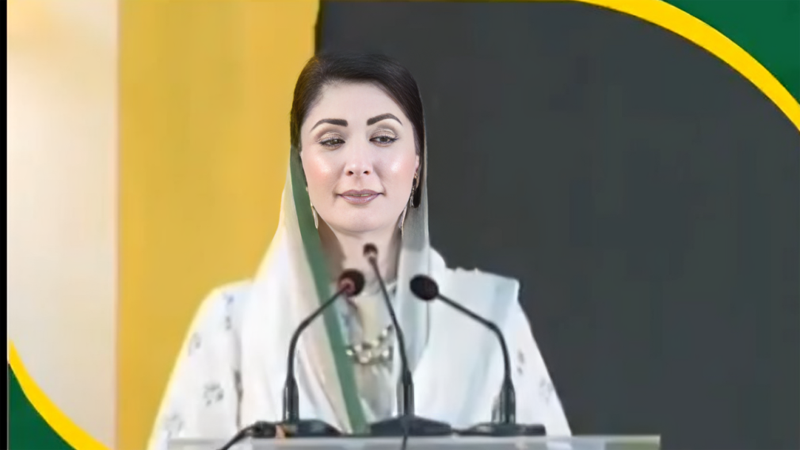 دنیا میں اپنی چھت اپنا گھر جیسے ماڈل کی مثال دی جائے گی، وزیر اعلیٰ پنجاب