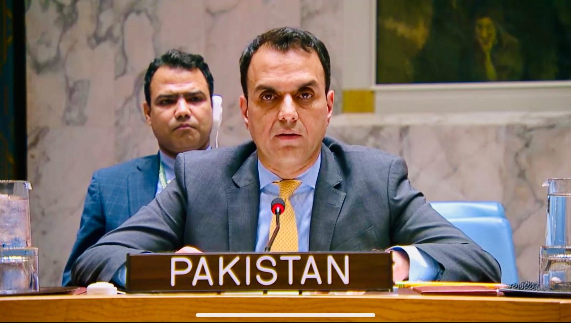 اہم بنیادی ڈھانچے پر حملے عالمی استحکام، تجارتی سرگرمیوں کیلئے سنگین خطرہ ہیں: پاکستان
