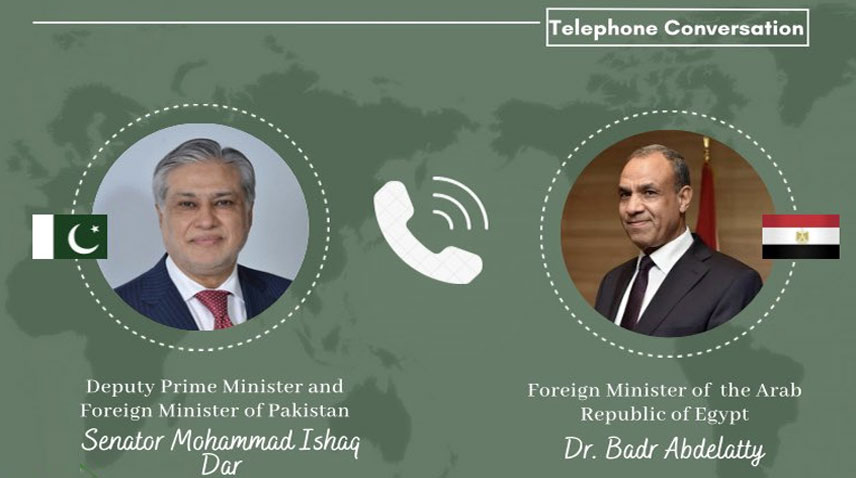 نائب وزیراعظم اورمصرکے وزیرخارجہ کا علاقائی اورعالمی پیشرفت پرتبادلہ خیال 