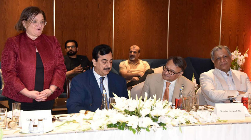چیئرمین سینیٹ کا پاکستان اور اٹلی کے درمیان اقتصادی روابط مستحکم بنانےپر زور