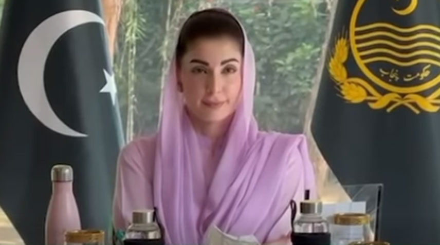 چینی سرمایہ کاروں کے وفد کی وزیر اعلیٰ سے ملاقات، پنجاب میں سرمایہ کاری میں دلچسپی کا اظہار