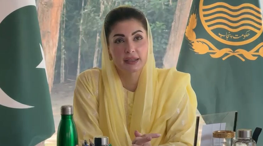 وزیر اعلیٰ پنجاب کی سبزیوں کی قیمتوں میں کمی یقینی بنانے کی ہدایت