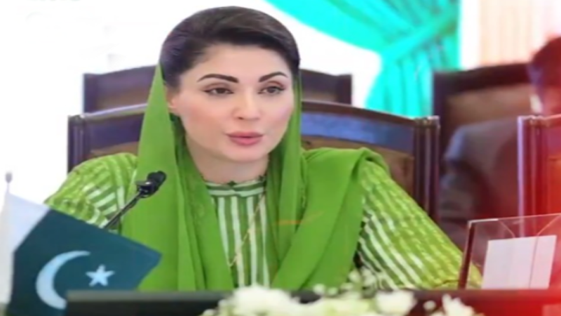 سعودی وفد کی آمد پنجاب کے لیے خوش بختی کی علامت ہے،وزیر اعلیٰ پنجاب