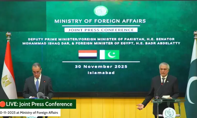 پاکستان مصر کو مسلم دنیا میں ایک اہم شراکت دار کے طور پر قدر کی نگاہ سے دیکھتا ہے، اسحاق ڈار