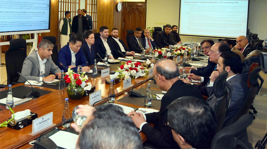 ڈیجیٹل اثاثوں کو باضابطہ نگرانی کے دائرے میں لانا ناگزیر، وزیر خزانہ