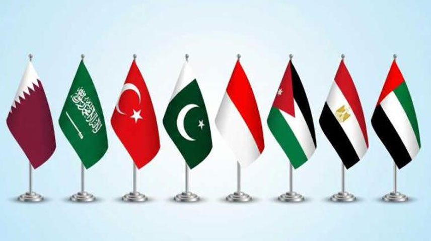 پاکستان سمیت دیگر اسلامی ممالک کا غزہ مکینوں کو مصر منتقل کرنے کی بات پر گہری تشویش کا اظہار