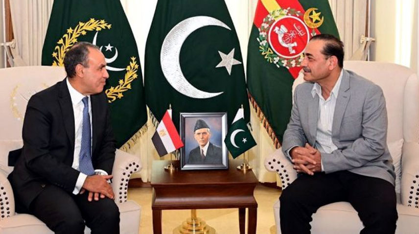 فیلڈ مارشل عاصم منیر سے مصری وزیر خارجہ کی ملاقات، دفاعی تعاون بڑھانے کا عزم