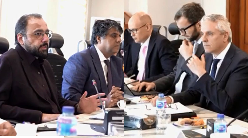 پاکستان جی ایس پی پلس فریم ورک کے تقاضے سنجیدگی سے پورے کر رہا ہے: چودھری سالک