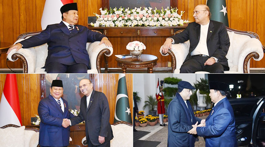 پاکستان اور انڈونیشیا کا امن، استحکام اور خوشحالی کے لیے مل کر کام کرنے پر اتفاق