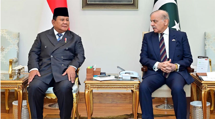 پاکستان،انڈونیشیا کا مختلف شعبوں میں تعلقات بڑھانے کا فیصلہ