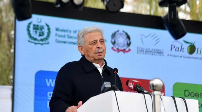 زیتون کی کاشت کیلئے پاکستان کی آب و ہوا انتہائی موزوں ہے،رانا تنویر حسین