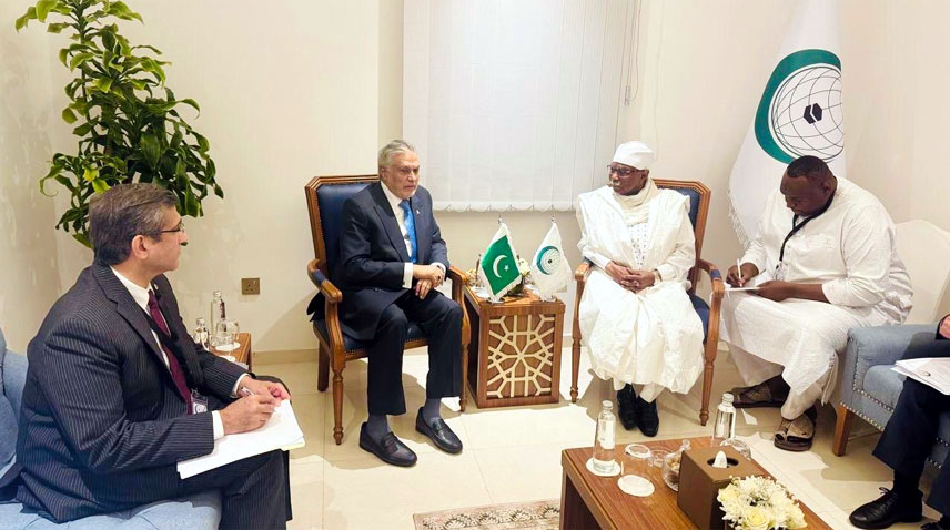 او آئی سی نے مسلم امہ کے حق میں پاکستان کے کردار کو سراہا