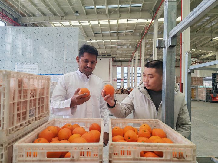 پاکستانی تاجر چین سے تازہ زرعی پیداوار کی مشرق وسطیٰ ترسیل اور قریبی تجارتی روابط کے لئے سرگرم