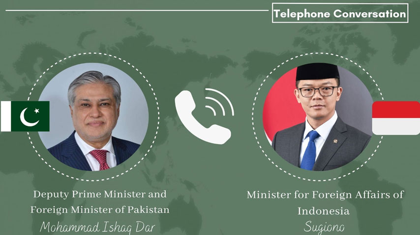 نائب وزیراعظم کا انڈونیشیا کے وزیرخارجہ کو فون، عالمی صورتحال پر تبادلہ خیال