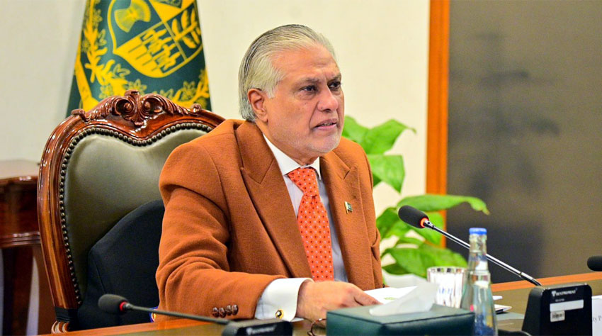 نائب وزیراعظم کا یورپی یونین کے ساتھ تجارت کے فروغ پر زور