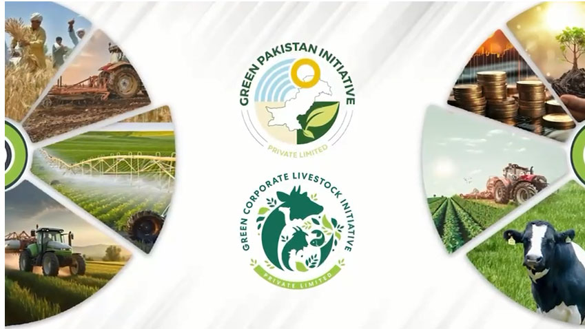 اوکاڑہ میں مویشیوں کی جنس کی بنیاد پر پاکستان کی پہلی بھوسہ لیبارٹری کا قیام