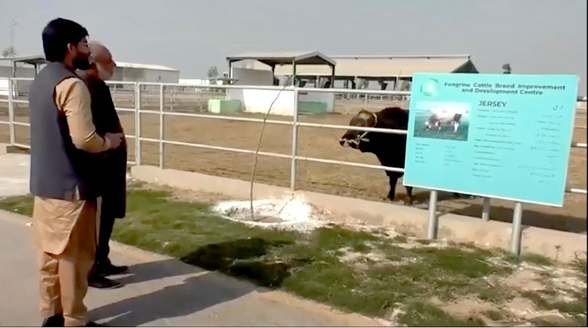 ایس آئی ایف سی کے لائیوسٹاک شعبہ کو جدید انداز پر استوار کرنے کیلئے اقدامات