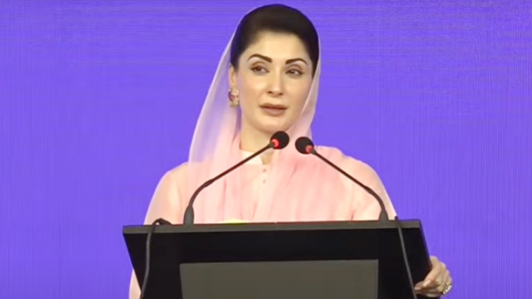 خیبرپختونخوا کے لوگ اب بھی پتھر کے زمانے میں رہ رہے ہیں، وزیر اعلی ٰ پنجاب