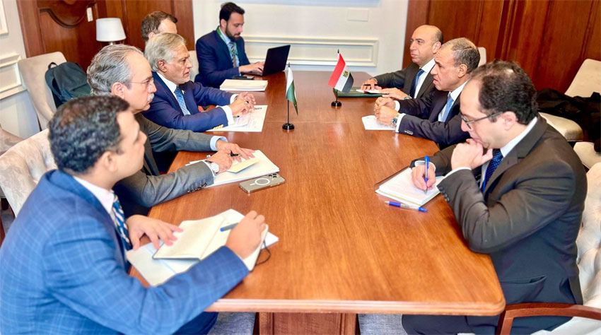 پاکستان اورمصرکا مختلف شعبوں میں جاری تعاون پراطمینان کا اظہار