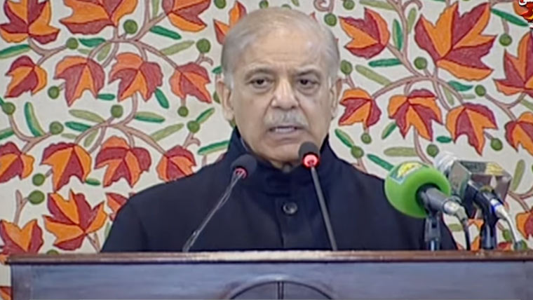 جدوجہد آزادی کشمیر کے ہر قائد اور شہری کو سلام عقیدت پیش کرتے ہیں، وزیراعظم شہباز شریف