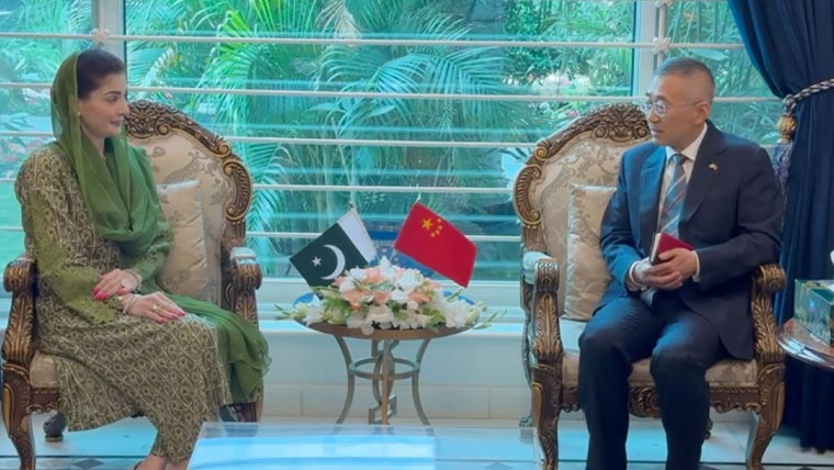 وزیر اعلیٰ پنجاب کی چین کے قونصل جنرل سے ملاقات، سٹریٹجک شراکت داری پر زور