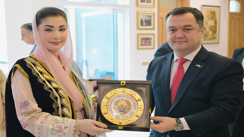 ازبکستان برادر ملک، سماجی، معاشی تعلقات مزید مستحکم کرنا چاہتے ہیں: وزیر اعلیٰ پنجاب