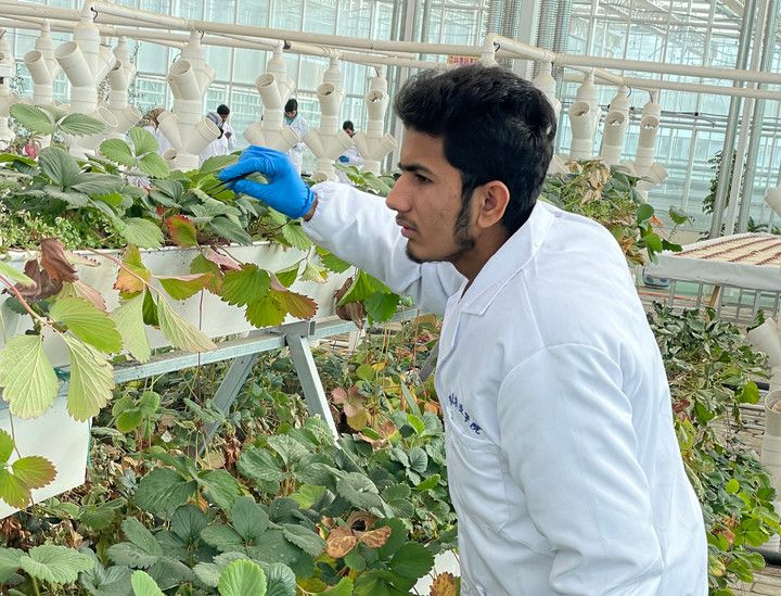  پاکستانی نوجوان بہتر ملکی پیداوار کے لئے چین میں زرعی مہارت حاصل کر نے میں مصروف